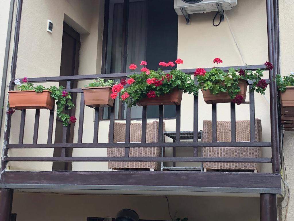 Tinikos Guest House Telavi Bagian luar foto