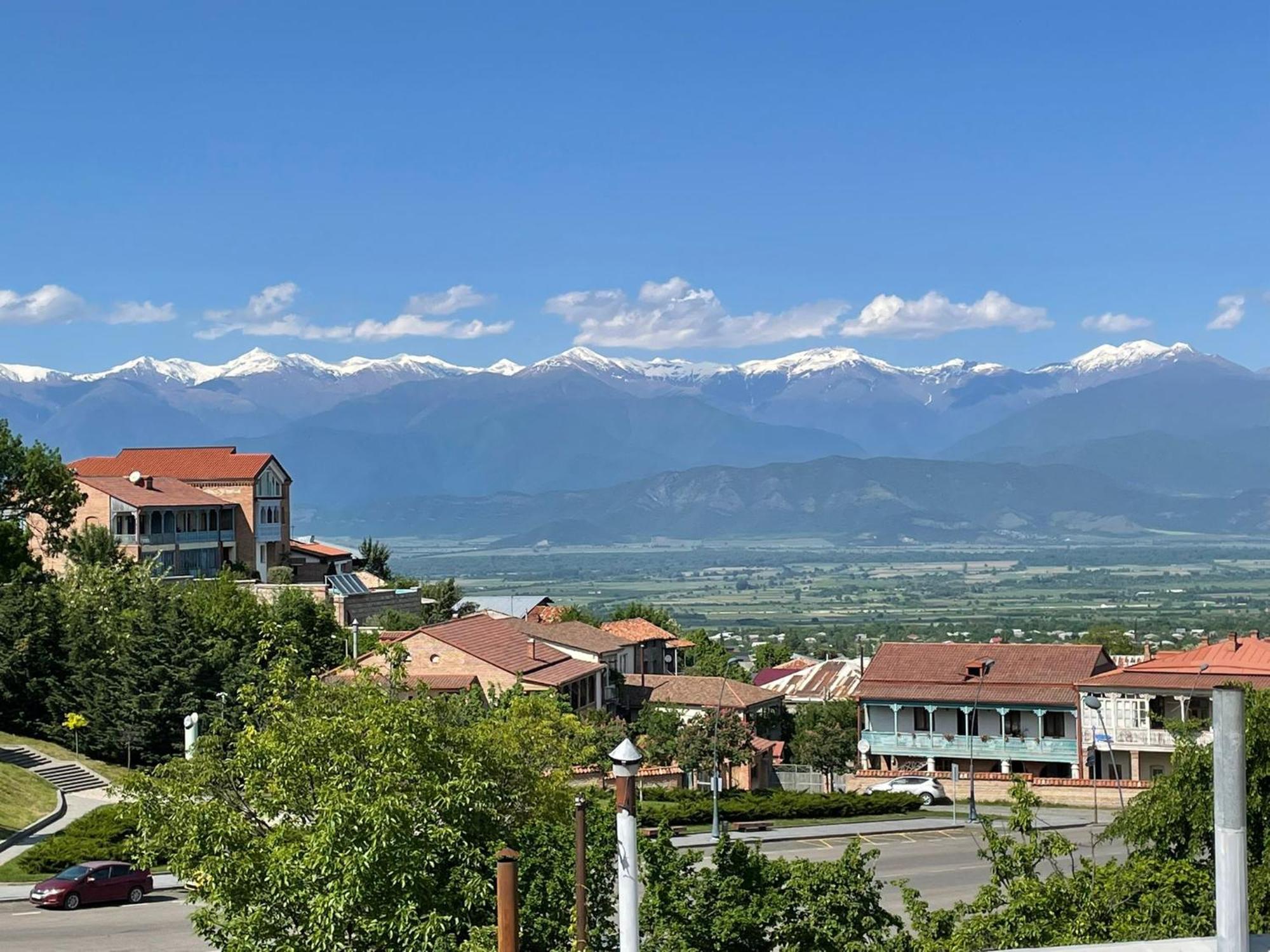 Tinikos Guest House Telavi Bagian luar foto