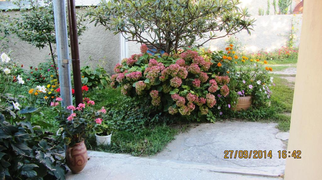 Tinikos Guest House Telavi Bagian luar foto