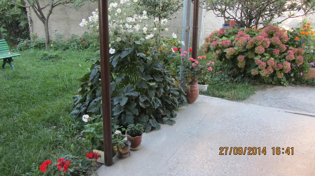 Tinikos Guest House Telavi Bagian luar foto