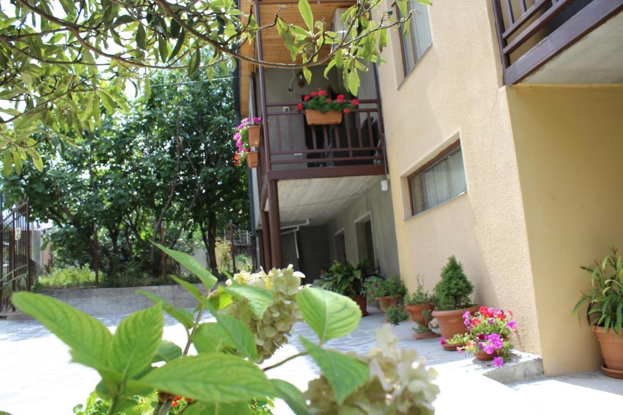 Tinikos Guest House Telavi Bagian luar foto
