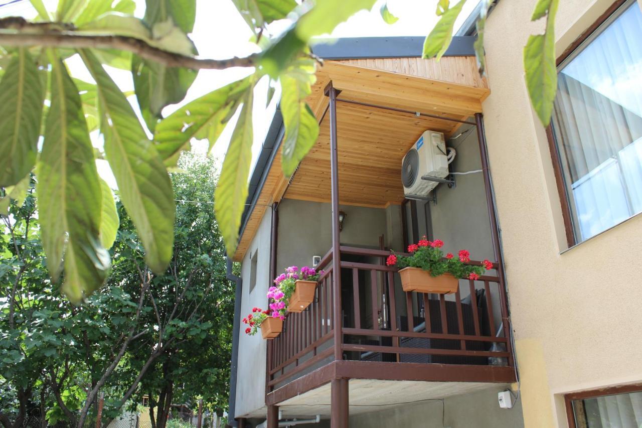 Tinikos Guest House Telavi Bagian luar foto